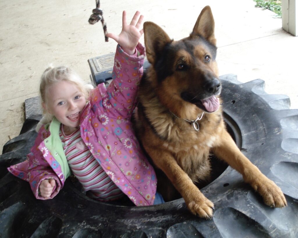 Family protection dogs